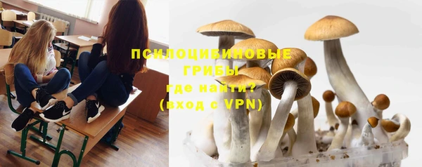 стаф Верея