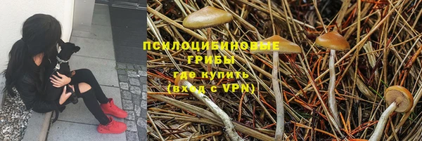 PSILOCYBIN Верхний Тагил