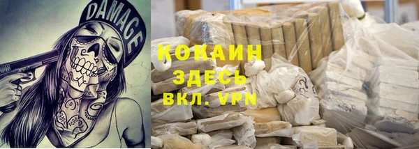 PSILOCYBIN Верхний Тагил