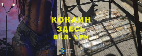 стаф Верея