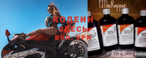стаф Верея