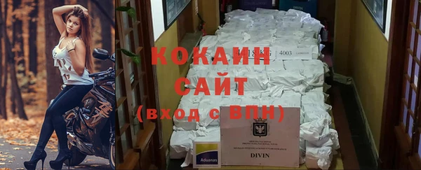 стаф Верея